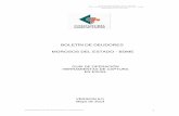 BOLETÍN DE DEUDORES MOROSOS DEL ESTADO - BDME · 2014-05-16 · Opciones de Seguridad (Excel Versiones 2002 y 2003) Para la utilización de las herramientas de captura para la Categoría