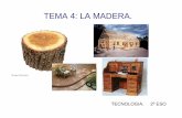 TEMA 4: LA MADERA. - mecanicles.weebly.commecanicles.weebly.com/uploads/7/0/5/8/7058976/tema_4._la_mader… · TEMA 4: LA MADERA. 2.-LA MADERA . 2.2.- OBTENCIÓN DE LA MADERA . El