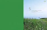 Procesos ecológicos y restauración de la cubierta vegetal › patricio › docs › Restauracion_ecologica_cap_5.pdfestablecidas (filtro de las interacciones bióticas) (Keddy 1992;