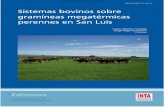 Sistemas bovinos sobre gramíneas megatérmicas perennes en ...produccion-animal.com.ar/libros_on_line/42-INTA... · A partir de la década de 1960 el INTA San Luis lideró el estudio