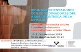 REUNIÓN ORIENTADORES CON COORDINADORES DEL AREA DE …Quimica+C+y+E+SS.pdf · AREA DE QUÍMICA DE LA UPV/EHU . 19-21 Noviembre 2013 . 2013.eko Azaroak 19- 21 . UPV/EHU-ko kimika