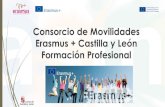 Consorcio de Movilidades Erasmus + Formación Profesional …erasmusfpcyl.com/wp-content/uploads/2017/11/Consorcio-de... · 2017-11-17 · Acompañamiento de movilidades de alumnos