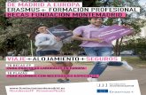 DE MADRID A EUROPA ERASMUS+ FORMACIÓN PROFESIONAL … · 1. Número de becas Se convocan 16 becas para estudiantes de ciclos formativos de grado medio que tendrán como objetivo