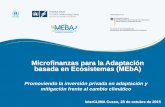 Microfinanzas para la Adaptación basada en Ecosistemas (MEbA)interclima.minam.gob.pe/Presentaciones/2015/Dia2/... · Promoviendo la inversión privada en adaptación y mitigación
