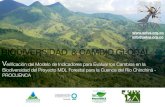 BIODIVERSIDAD & CAMBIO GLOBAL - selvaselva.org.co/wp-content/uploads/2012/03/Biodiversidad... · 2012-03-20 · BIODIVERSIDAD & CAMBIO GLOBAL Veriﬁcación del Modelo de Indicadores