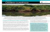 CaMbIO ClIMátICO - d2ouvy59p0dg6k.cloudfront.net · sitúa en el lugar 12 entre los países con mayores emisiones de gases de efecto invernadero, generando 6.84 toneladas de dióxido