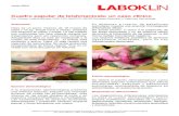 Cuadro papular de leishmaniosis: un caso clínico · LABOKLIN • Polígono Industrial de Alcobendas Avenida de la Industria • Ediﬁcio 3 • Planta 1ª Oﬁcina A 28108 • Alcobendas