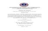 UNIVERSIDAD NACIONAL DE CHIMBORAZO FACULTAD DE …dspace.unach.edu.ec/bitstream/51000/188/1/UNACH-EC-ODONT-201… · DE AYORA DE LA PROVINCIA DE CHIMBORAZO, CANTÓN GUAMOTE, DURANTE