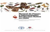Manual de Plagas y - Home | Food and Agriculture ...Manual de Plagas y Enfermedades del Bosque Nativo en Chile Página 7 Indice de Figuras Figura 1. Adulto de Brachysternus prasinus