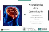 Neurociencias de la Comunicación · cerebrales el sistema nervioso y su relación con el comportamiento humano. •Neurolingüística: es el estudio de cómo el lenguaje está representado