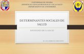 DETERMINANTES SOCIALES DE SALUDenfermeria.uson.mx/wp-content/uploads/2016/02/... · 2016-02-03 · Recomendaciones y perspectivas: •Los países podrían incorporar la equidad sanitaria