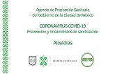 Presentación de PowerPoint · 1 day ago · Secretaria de Salud de la Ciudad de México Agencia de Protección Sanitaria del Gobierno de la Ciudad de México Otras características