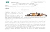 Los perrossunnylandschool.cl/images/Material/lenguaje/... · 2020-06-19 · Los perros VEAMOS ALGUNOS DATOS CARACTERÍSTICOS DE LOS PERROS: -Frecuencia respiratoria: 10-40 por minuto.