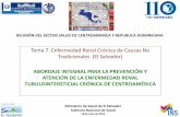 Tema 7: Enfermedad Renal Crónica de Causas No ...€¦ · Asociación centroamericana y del caribe de nefrología e hipertensión arterial en el contexto del XII Congreso de Nefrología