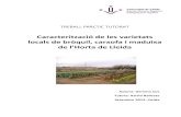 Caracterització de les varietats locals de bròquil ... · TPT – Gemma Cos – ETSEA 2012 - 7 - A partir de la prospecció feta a l’Horta de Lleida (any 2010), s’aniran estudiant