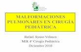 MALFORMACIONES PULMONARES EN CIRUGÍA PEDIÁTRICA · 2016-05-30 · MALFORMACIONES PULMONARES EN CIRUGÍA PEDIÁTRICA Rafael Ayuso Velasco MIR 4º Cirugía Pediátrica Diciembre 2010.