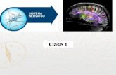 Clase 1 - WordPress.com › ... · Clase 1. ESTRUCTURA DE UNA NEURONA Dendritas Soma Axón Vaina de Mielina Telodendrón La neurona es la unidad estructural y funcional básica del