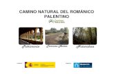 CAMINO NATURAL DEL ROMÁNICO PALENTINOeluncarrural.es/contenido/wp-content/uploads/2015/... · RUTA 3. ROMANICO NORTE: 22,55 Km.‐Desde Perazancas de Ojeda a Dehesa de Montejo. Esta