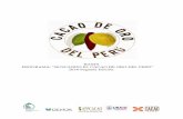 BASES PROGRAMA: “BUSCANDO EL CACAO DE ORO DEL PERÚ” …€¦ · Se consideran las zonas productoras de cacao de catorce (14) departamentos del Perú: Amazonas, Ayacucho, Cajamarca,