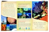 Ley de Porteccion de los Arrecifes de Coral de la … › sites › default › files › Coral-Reef...La produccin de este folleto fue financiado en parte por una beca del Programa
