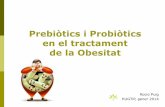 Prebiòtics i Probiòtics en el tractament de la Obesitat...Increment del 57% en el greix corporal total i d’un 61% en el greix epididimal, i disminució de la ingesta en un 27%