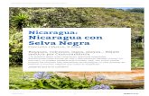 Nicaragua: Nicaragua con Selva Negra · 2019-09-30 · Nicaragua: Nicaragua con Selva Negra ¿Te gustaría pasar unas vacaciones realmente especiales, descubriendo otras formas de