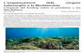 L’esquinçament dels vergers submergits a la Mediterràniaantlaformiga.org/publicacions/pdfs/documents/d201_febrer_2019.pdf · més del que és habitual, el plàncton acaba amb