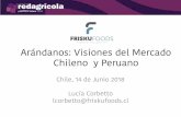 Arándanos: Visiones del Mercado Chileno y Peruano › cl › assets › uploads › 2018 › ... · Fuente: iQonsulting, SAG/ASOEX, MAG, AMS/USDA, Aduanas Perú Tiempo de Transporte
