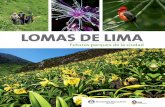 Servicio de Parques de Lima-SERPAR › assets › uploads › 2020 › 06 › Lomas-de... · 2020-06-24 · 8 9 Anna Zucchetti Presidenta Servicio de Parques de Lima-SERPAR E l desierto