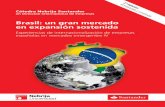 2ª Edición Publicaciones Cátedra Nebrija Santander en ... · En los últimos quince años Brasil ha experimentado una notable y exitosa transformación, apoyada en la aplicación