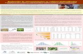 Evaluación de micronutrientes en cultivos biofortificadoslac.harvestplus.org/wp-content/uploads/2015/02/... · Y las otras técnicas permiten la cuantificación de compuestos particulares