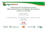 HarvestPlus: América Latina y el Caribe - Situación …lac.harvestplus.org/wp-content/uploads/2015/02/...Hay deficiencias de micronutrientes como hierro y zinc, y riesgo de excesos