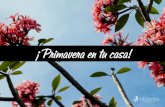 ¡Primavera en tu casa!...ÍNDICE 1.1 Entrevista con Silvia Arenas, directora de estilo de Westwing España 2.1 Flower power 3.1 Cómo limpiar tu casa en una hora 1.2 Decoración: