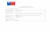 FORMULARIO DE POSTULACIÓN FONDO …dfi.mineduc.cl/usuarios/MECESUP/File/2018/instrumentos/...la CNA en el informe de evaluación externa “La Universidad de Chile cuenta con una