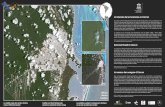 La amenaza de los huracanes en Cancún › new › fileadmin › MULTIMEDIA › HQ › SC › pdf › sc_… · 2014-10-08 · Los impactos de los huracanes más devastadores como