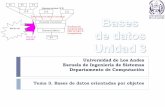 Universidad de Los Andes Escuela de Ingeniería de ... › ingenieria › ibc › bd › c12u3t3odmg.pdfTema 3. Bases de datos orientadas por objetos 2 EISULA. Dpto. De Computación.