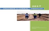 ENGORDE A CORRAL – FEEDLOT - RÍO NEGRO › admarchivos › files... · 2017-12-19 · El trabajo áulico se concentró en el curso de “Producción de bovinos a corral – feedlot”,