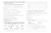 RESOLUCIÓN DE ACTIVIDADES - Intergranadaselectividad.intergranada.com › Bach › mate2ccnn... · 2016-02-29 · Las matrices que conmutan con son de la forma con d y g números