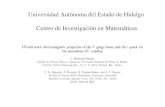 Universidad Autónoma del Estado de Hidalgo Centro de ...€¦ · •El rompimiento espontáneo de la simetría electrodébil puede estar relacionado con la dinámica del quark t