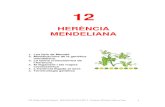 T12 Herencia mendeliana 1213 - blocs.xtec.cat · del grau d’insolació rebut (fenotip = genotip + influència ambiental). ... del gen I amb tres al.lels I A I B, i i ... Els al.lels