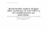 Asociación entre el gen alfa-actinina 3 (ACTN3) y el ... · (