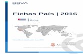 Fichas País | 2016 › BBVAComex › descargas › ... · Caracterización del mercado Presentación del mercado ... (vinculados a Venezuela y otros países del ALBA) y turísticos.