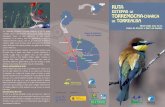 RUTA TORREMOCHA- TORREALBA - SEO/BirdLife › wp-content › uploads › 2012 › 05 › Ruta-Tor... · 2018-05-04 · RUTA ESTEPAS DE TORREMOCHA-CHARCADE TORREALBA Observando aves