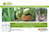 Presentación de PowerPoint - CITA Aragón · 2017-11-28 · Alimentación Cardiosaludable de Aragón: Tomate Rosa de Barbastro, Borraja Movera y Cebolla Dulce de Fuentes . o Desde