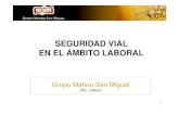 SEGURIDAD VIAL EN EL ÁMBITO LABORALfesvial.es/fileadmin/SegVialToledo2012/GrupoMahou-San... · 2012-07-16 · • El Plan de Seguridad Vial debe estar integrado en los planes de