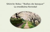 Shinrin-Yoku: “Baños de bosque” › wp-content › ...Edición especial 2017 La naturaleza mejora nuestra salud .Baños de bosque, una propuesta de salud movimiento global 1º