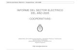 informe cooperativas 05 · 2007-09-28 · De la provincia se tiene datos de 59 cooperativas y 3 comunas que prestan los servicios de distribución de energía eléctrica, y que abastecen