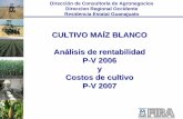 CULTIVO MAÍZ BLANCO Análisis de rentabilidad P-V 2006 y Costos de … › Nd › MAIZ_PV_Guanajuato_-_Rentabilidad_… · Análisis de Ingreso, Costo y Utilidad por tonelada de