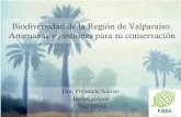 Biodiversidad de la Región de Valparaíso. Amenazas y ... · Esfuerzos para mitigar la perdida de biodiversidad • Convención para la Protección de la Flora, la Fauna y las Bellezas