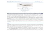 CLASE INSECTA Orden Raphidioptera - sea-entomologia.orgsea-entomologia.org/IDE@/revista_56.pdf · Revista IDE@ - SEA, nº 56 (30-06-2015): 1–9. ISSN 2386-7183 1 Ibero Diversidad